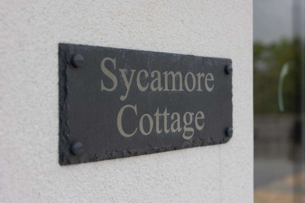 Sycamore Cottage Tenby Eksteriør bilde